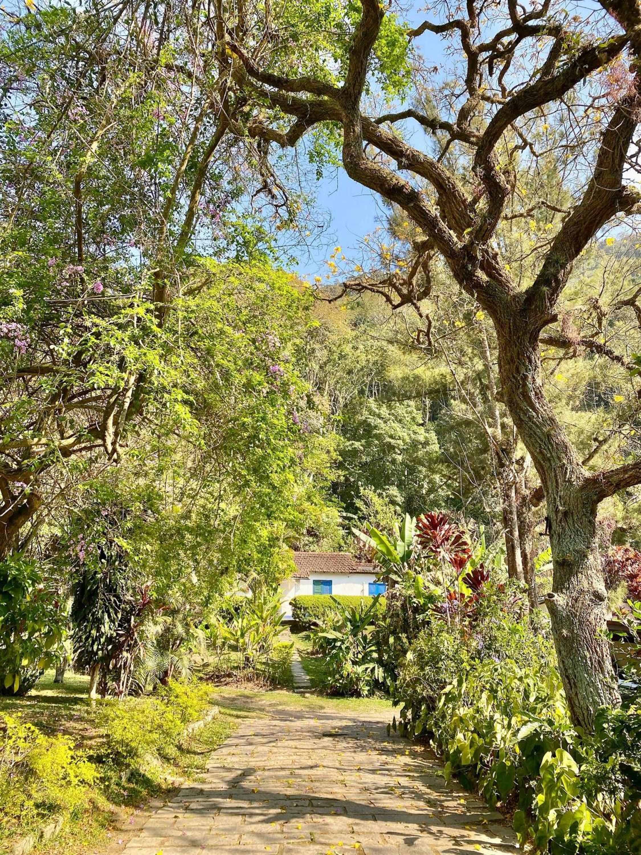 Primavera Site in Petrópolis - Vale Florido Region