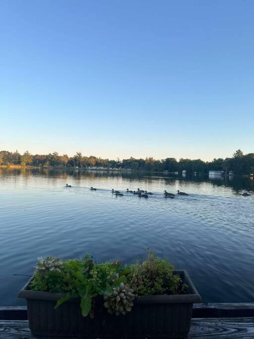 House In Kawartha