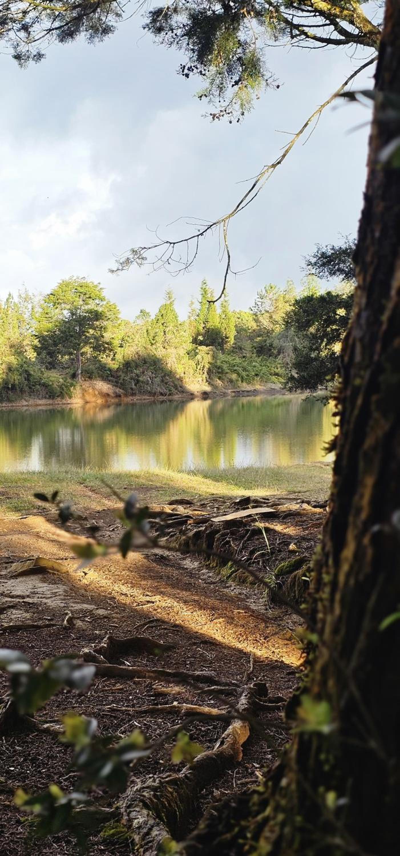 Glamping SABIA con Wifi, fogata y vistas de Medellín