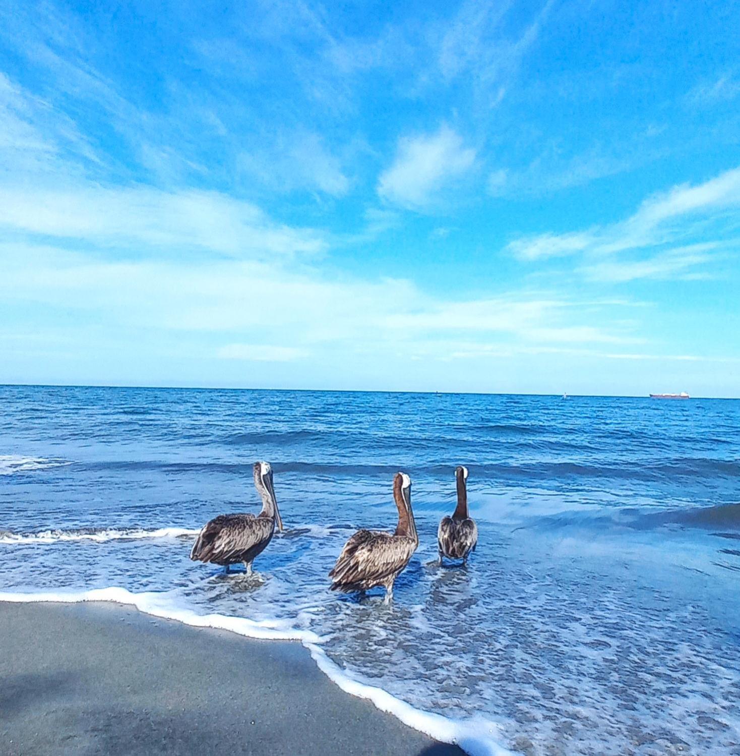 Apartamento Cautivador SAMARIA CLUB DE PLAYA con Salida Directa Al Mar y Sus Hermosas Playas de Pozos Colorados Santa Marta