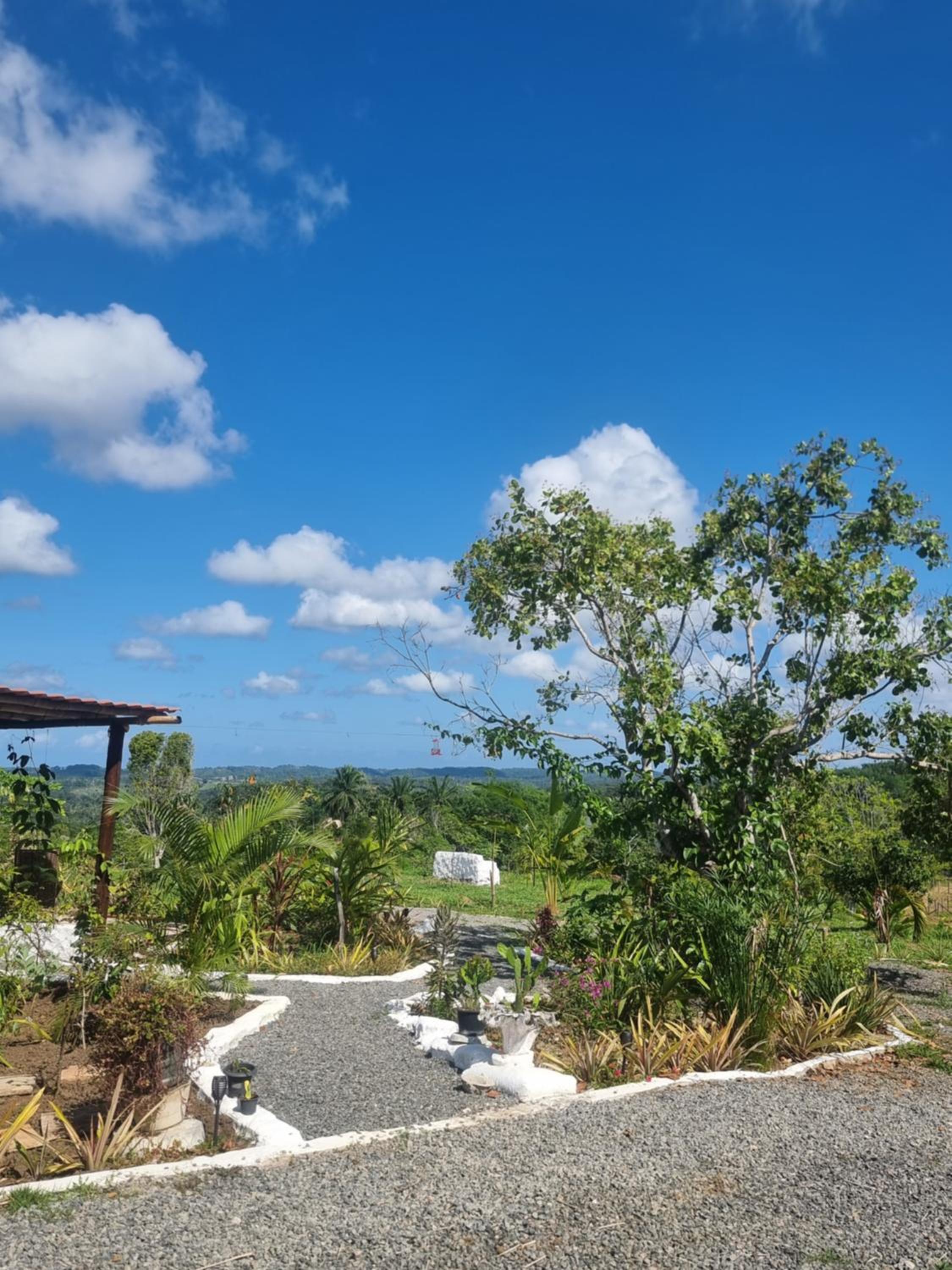 Fazenda de Jehne