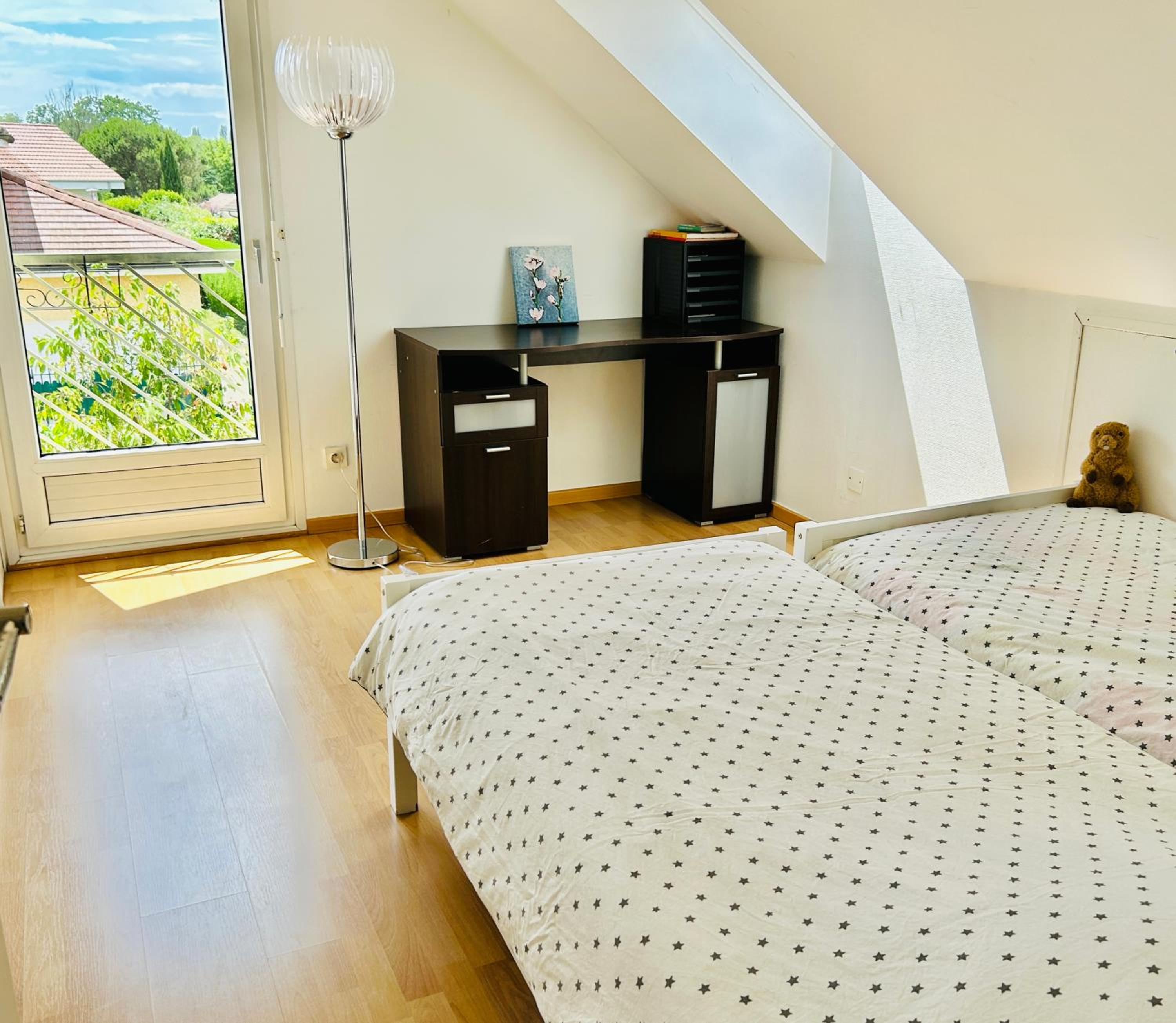 Beausoleil SPA Villa XL-Geneva, Lake, Mountains-Full Love Stay-SPA optional extra fee