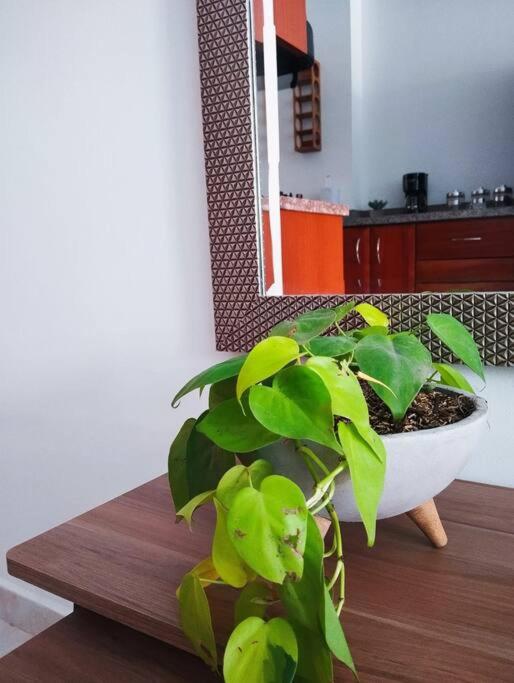 Crisalida Apartamento