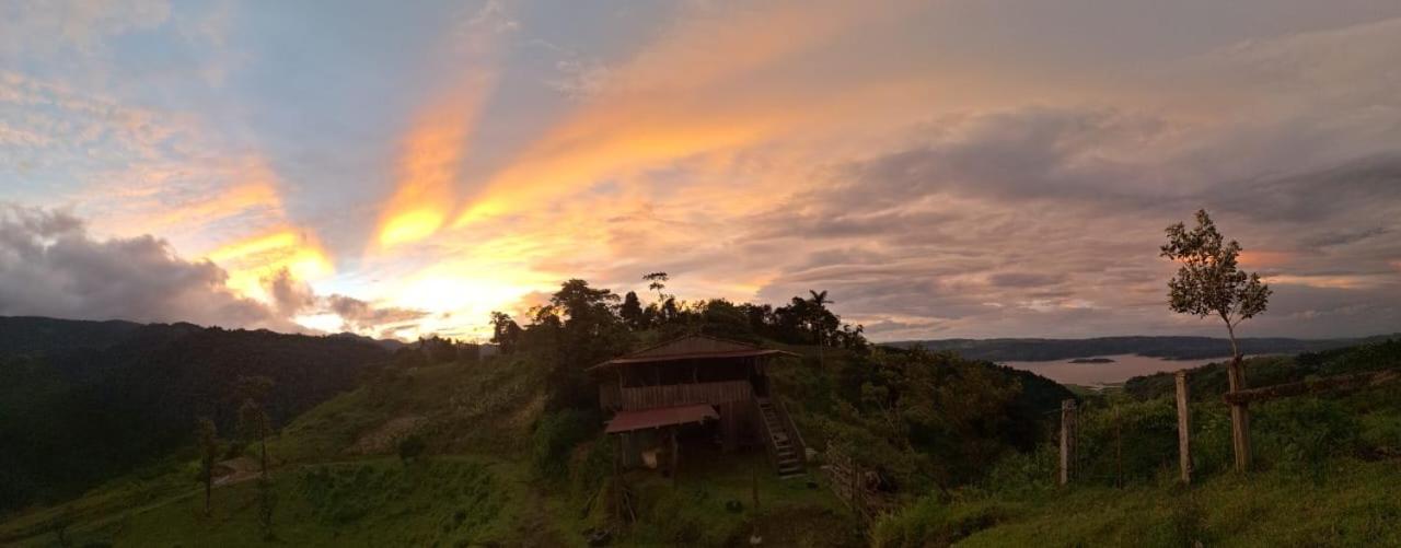 Finca Del Cielo