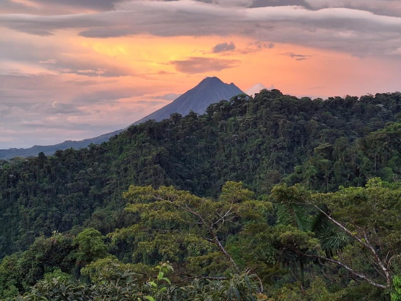 Finca Del Cielo