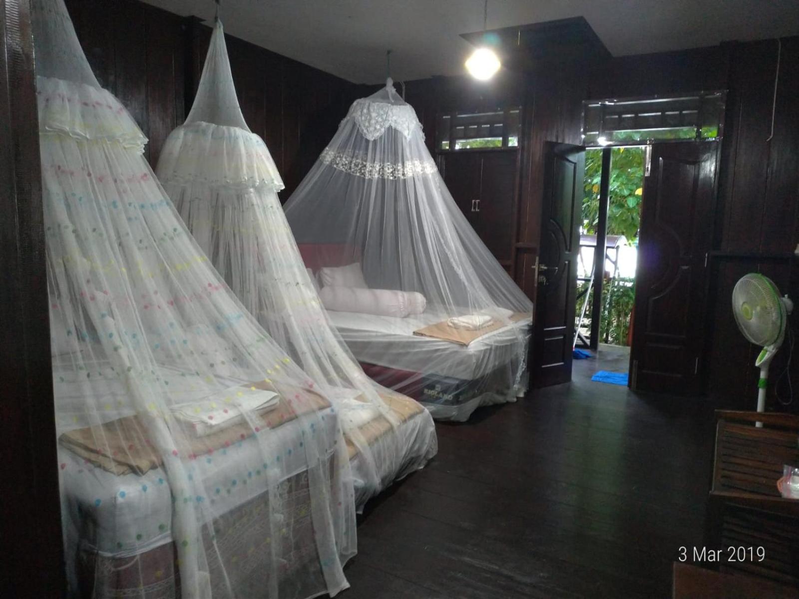 Photo 42