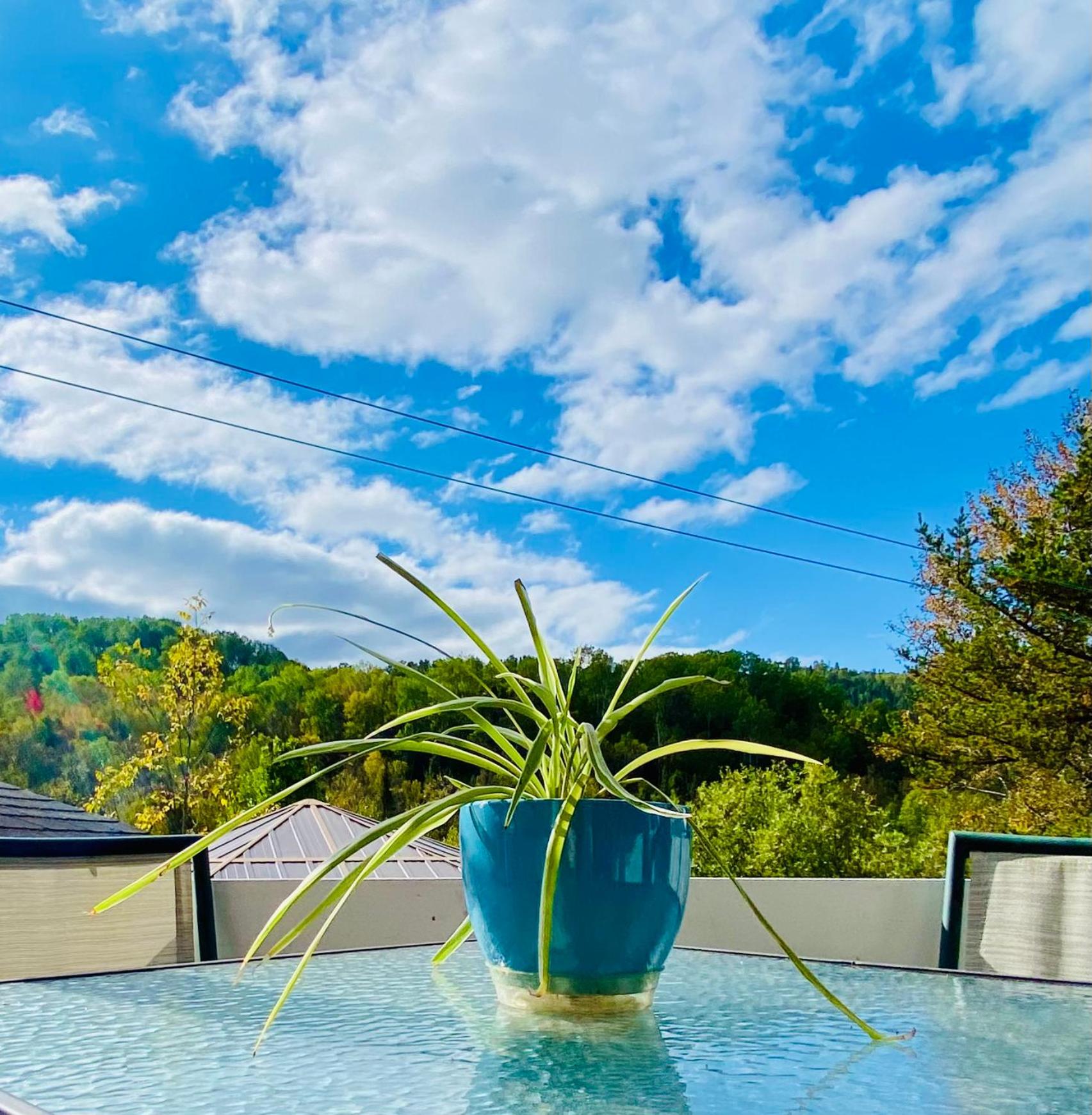 Belle maison avec vue sur la rivière