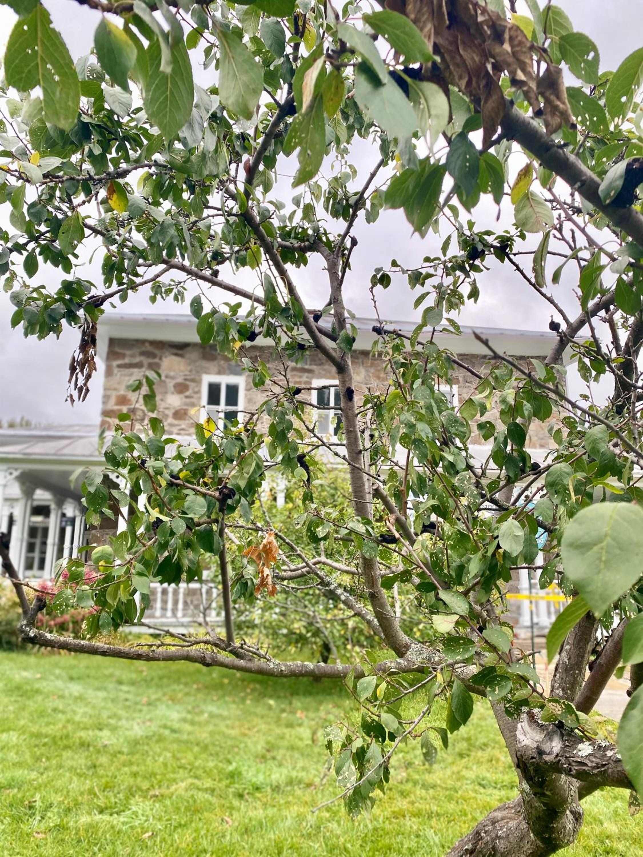 Belle maison avec vue sur la rivière