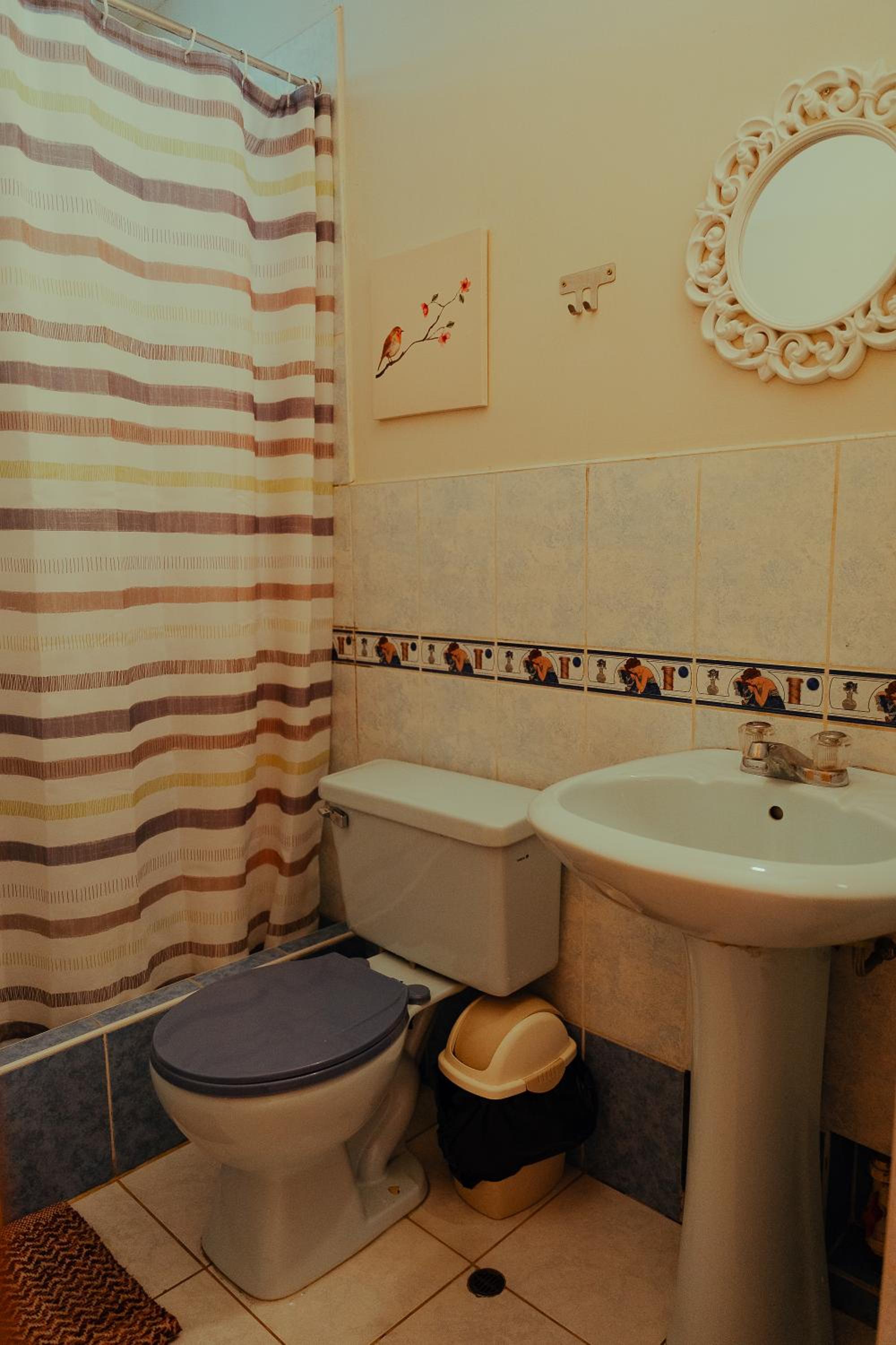 Photo 49