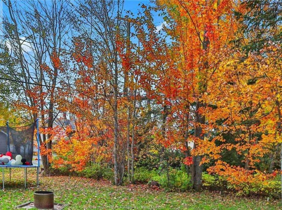 3 Bedroom Main unit House with a backyard and deck Basement not included