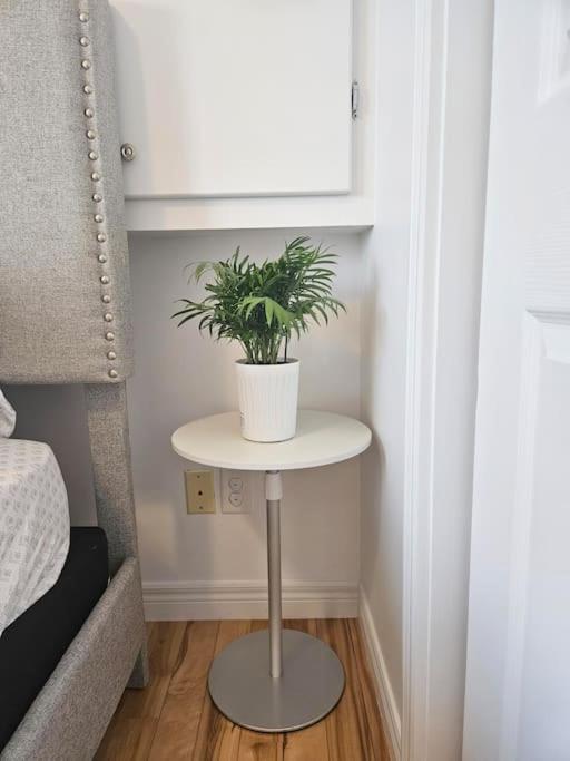 3 Bedroom Main unit House with a backyard and deck Basement not included