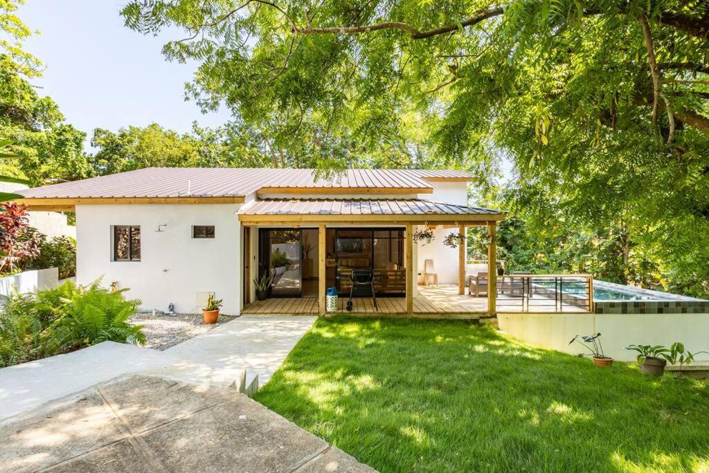Casa Latte