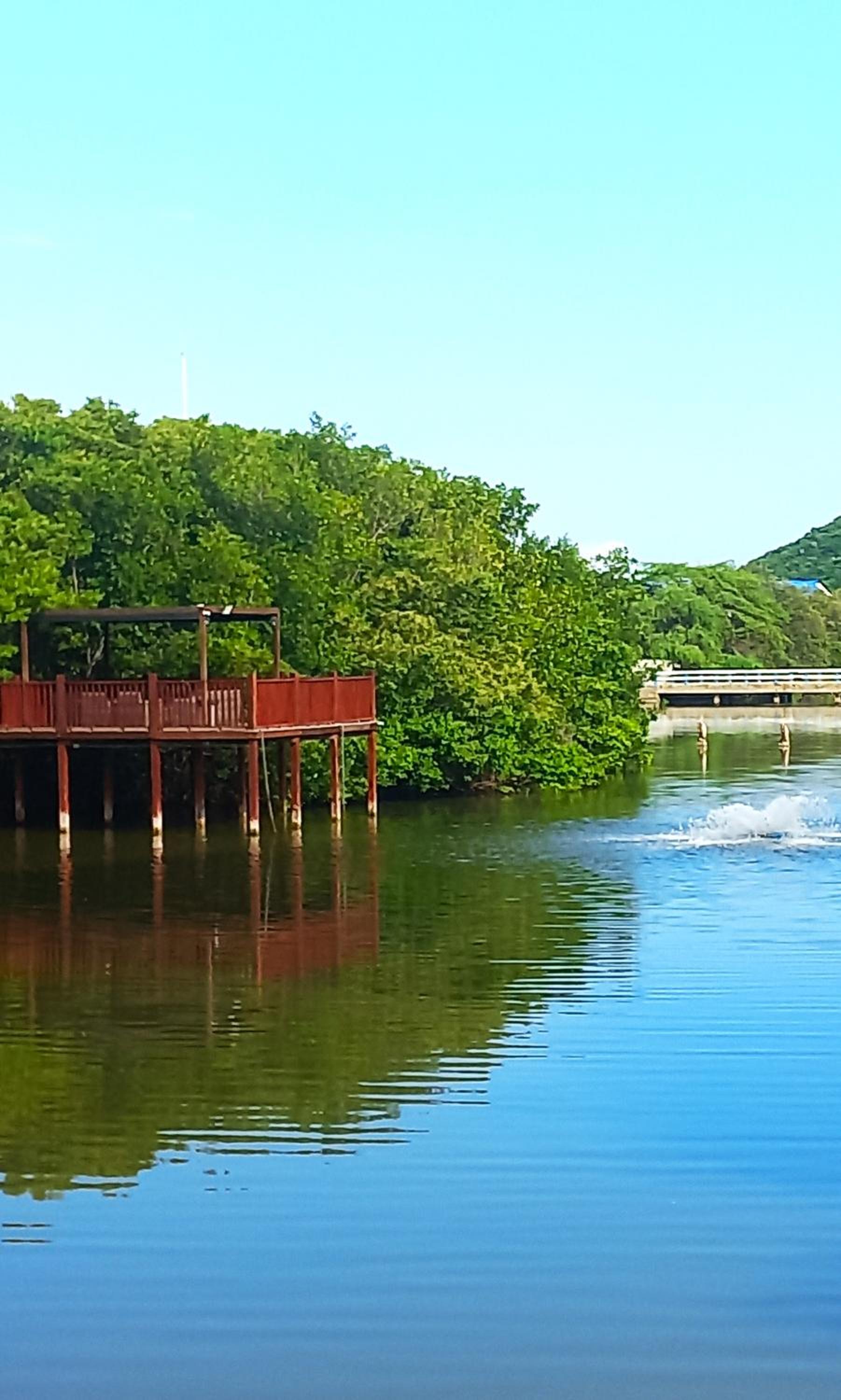 Apartamento Cautivador SAMARIA CLUB DE PLAYA con Salida Directa Al Mar y Sus Hermosas Playas de Pozos Colorados Santa Marta