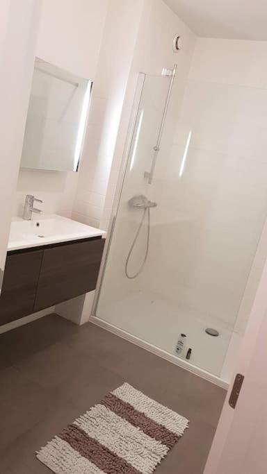 Appartement-centre-villee