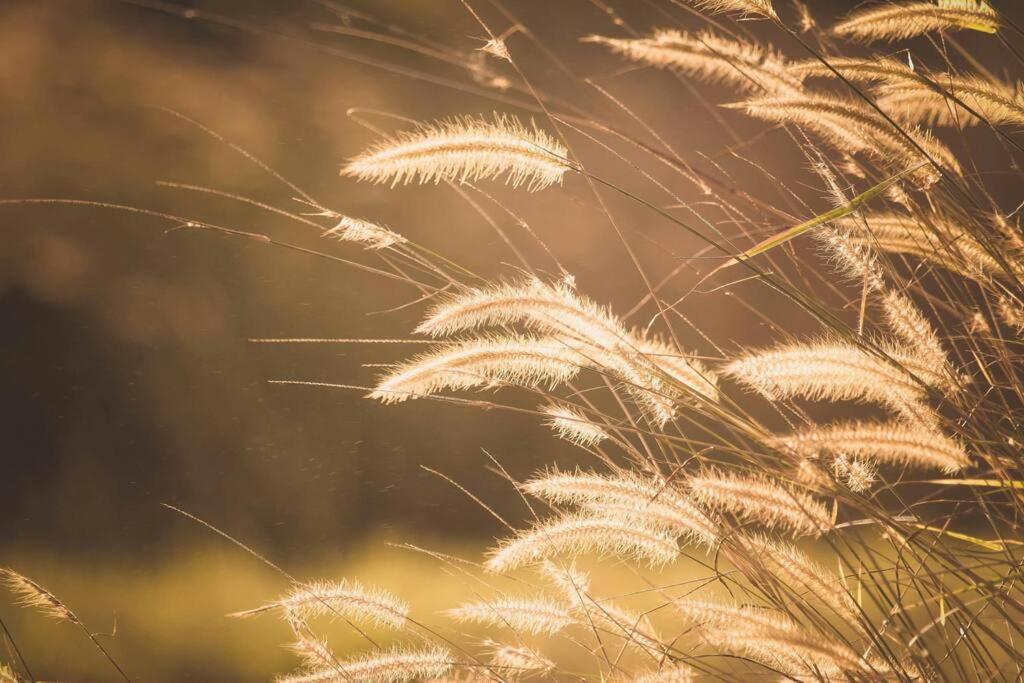 Forsthaus am Wald mit Garten & Feuerstelle