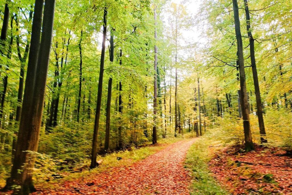 Forsthaus am Wald mit Garten & Feuerstelle
