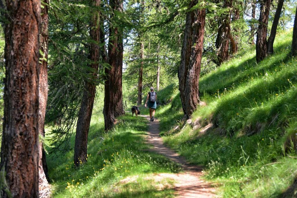 Forsthaus am Wald mit Garten & Feuerstelle