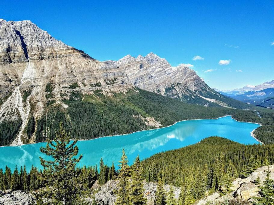 Prestigious YYC Stay,2BR3Bed Suites,Near UofC,Hospitals