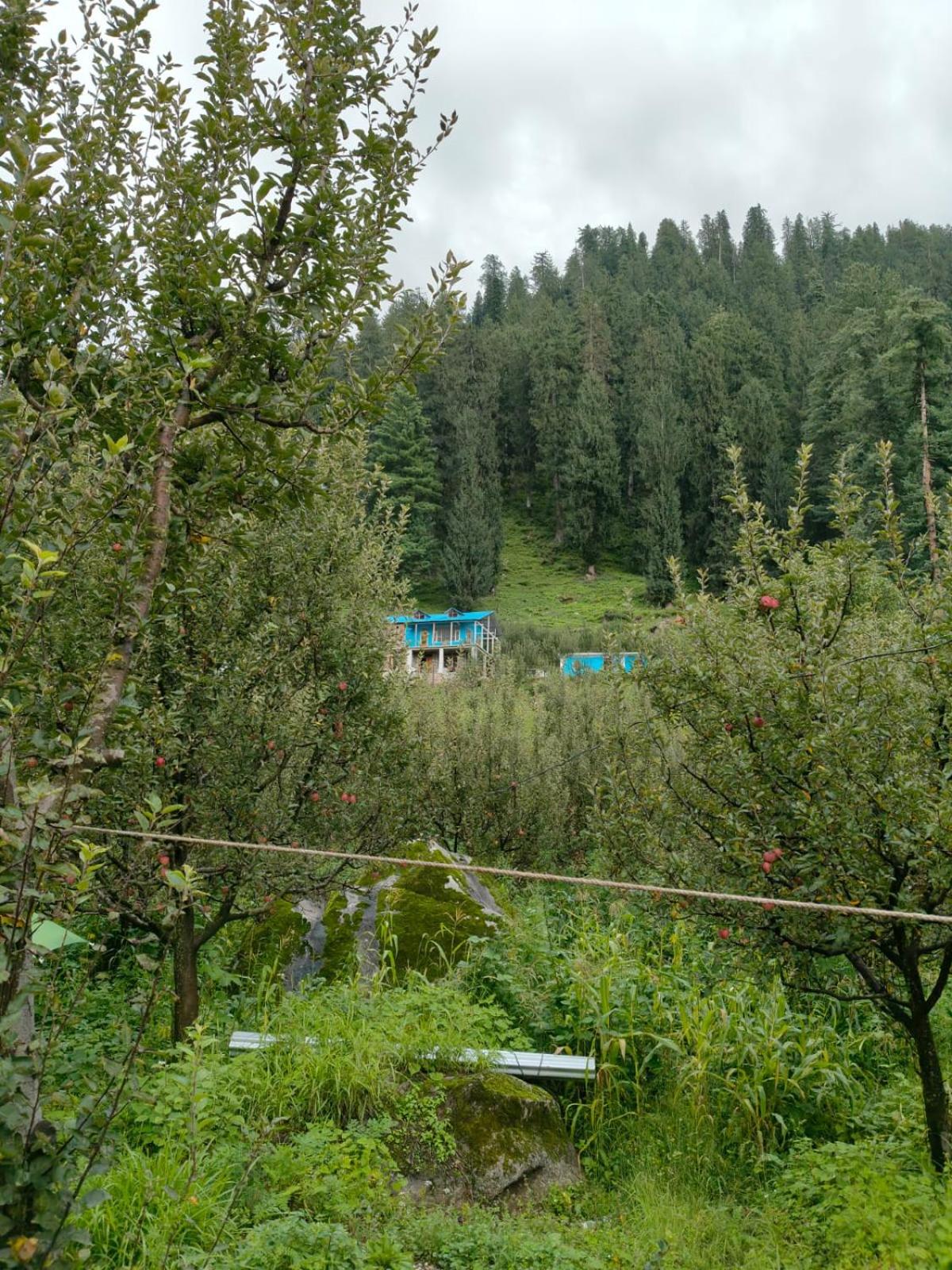 Photo 34
