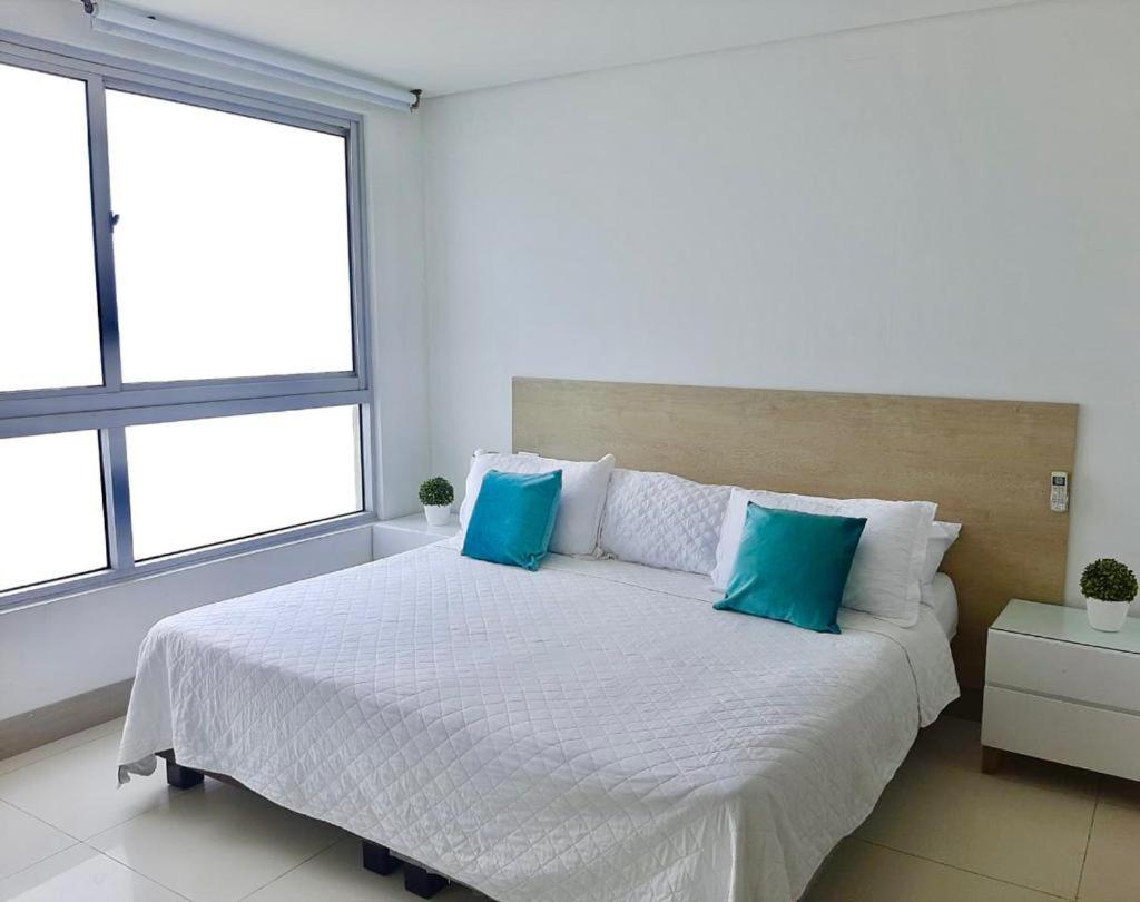 Palmetto Beach 1 habitacion