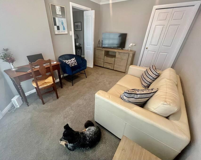 The Cricket House - Family & Pet-Friendly Home