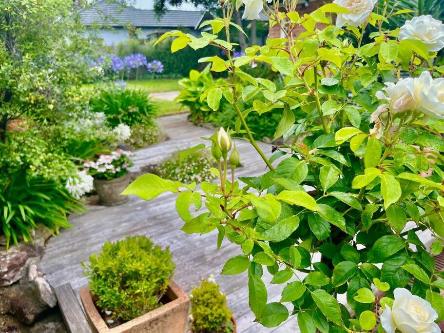 The Cricket House - Family & Pet-Friendly Home