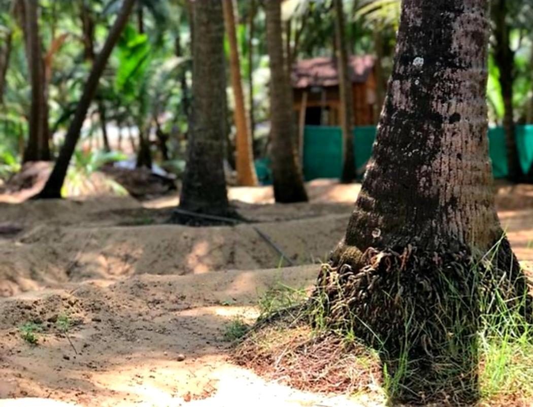 Samant Beach Resort