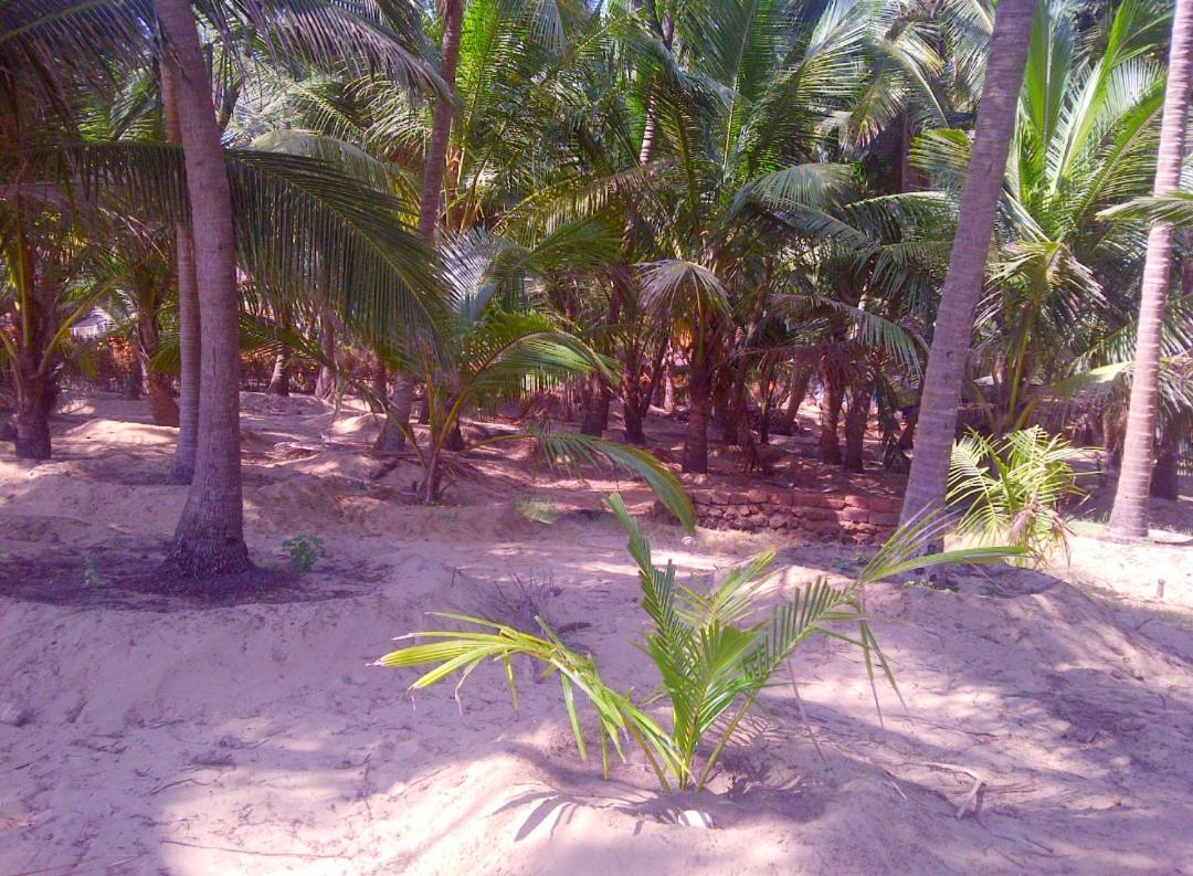 Samant Beach Resort