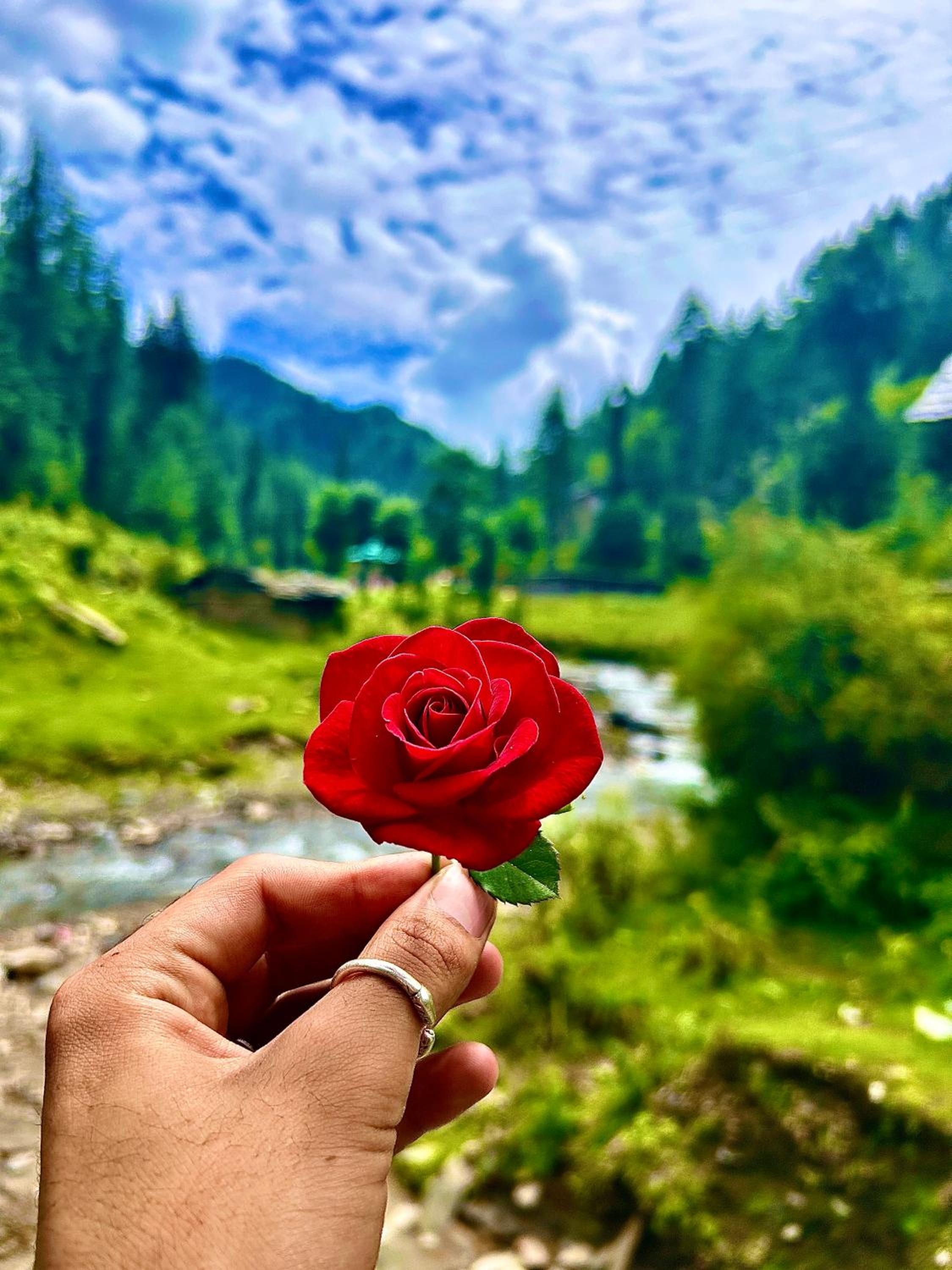 Alpine Homestay at Gadagusain