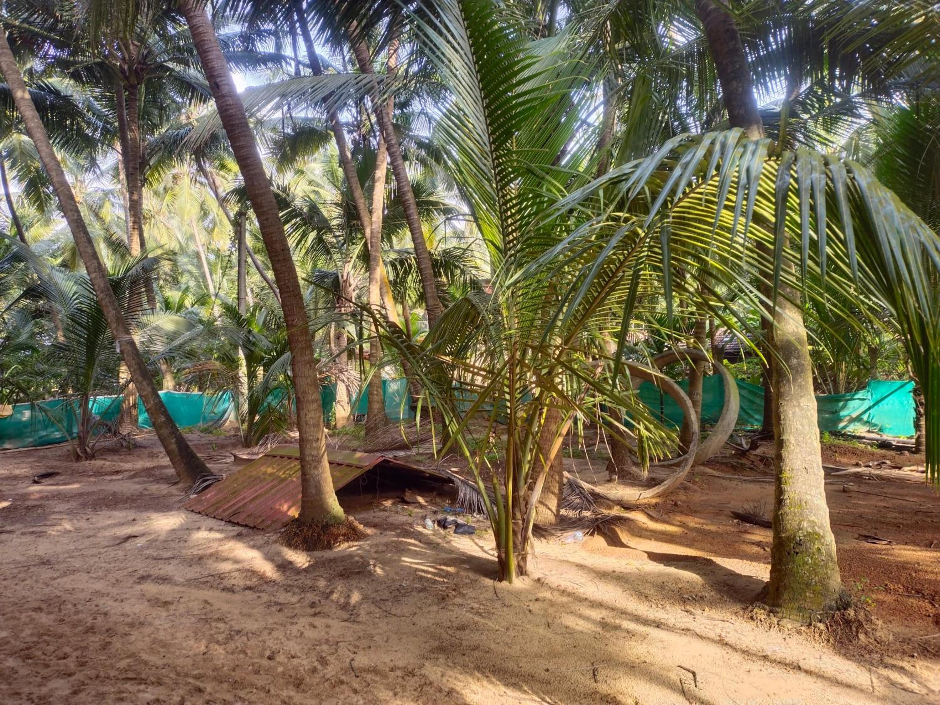 Samant Beach Resort