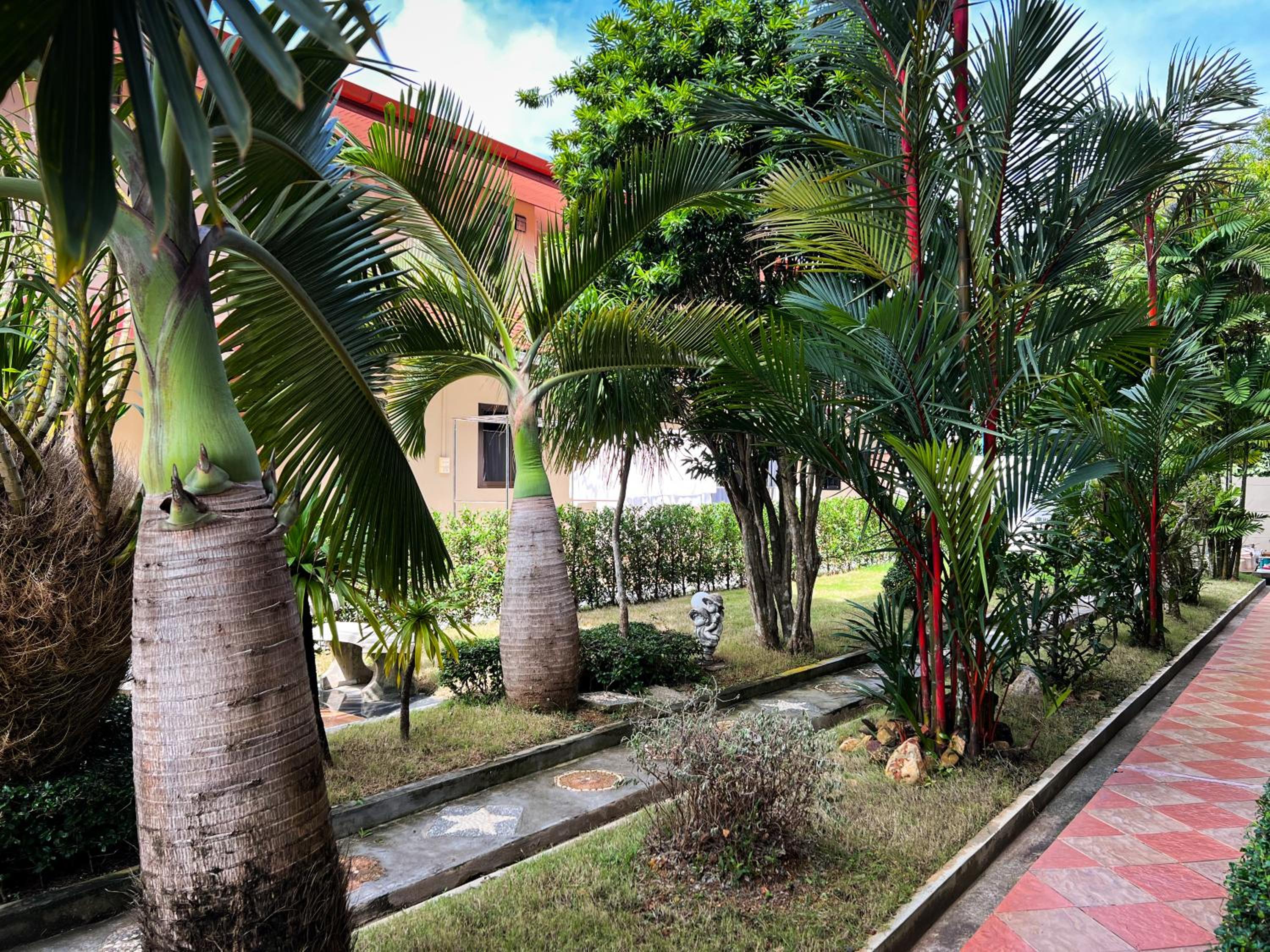 Tachang Airport Hotel