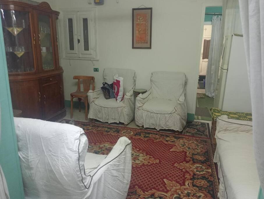 Friendly Apartment