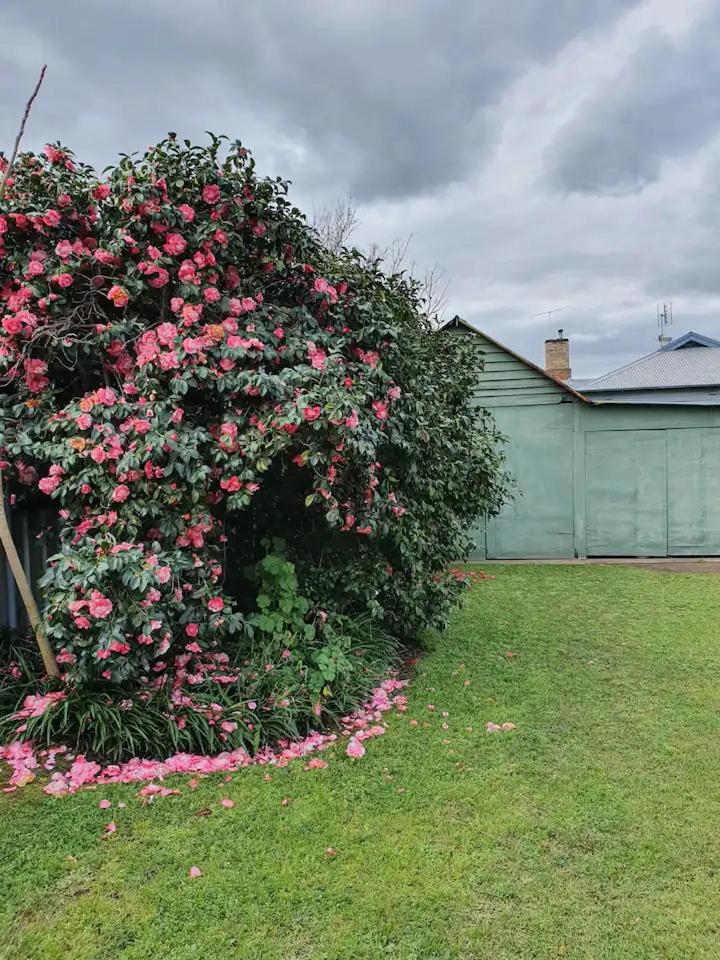 Ellson House - The Heart of the Hunter