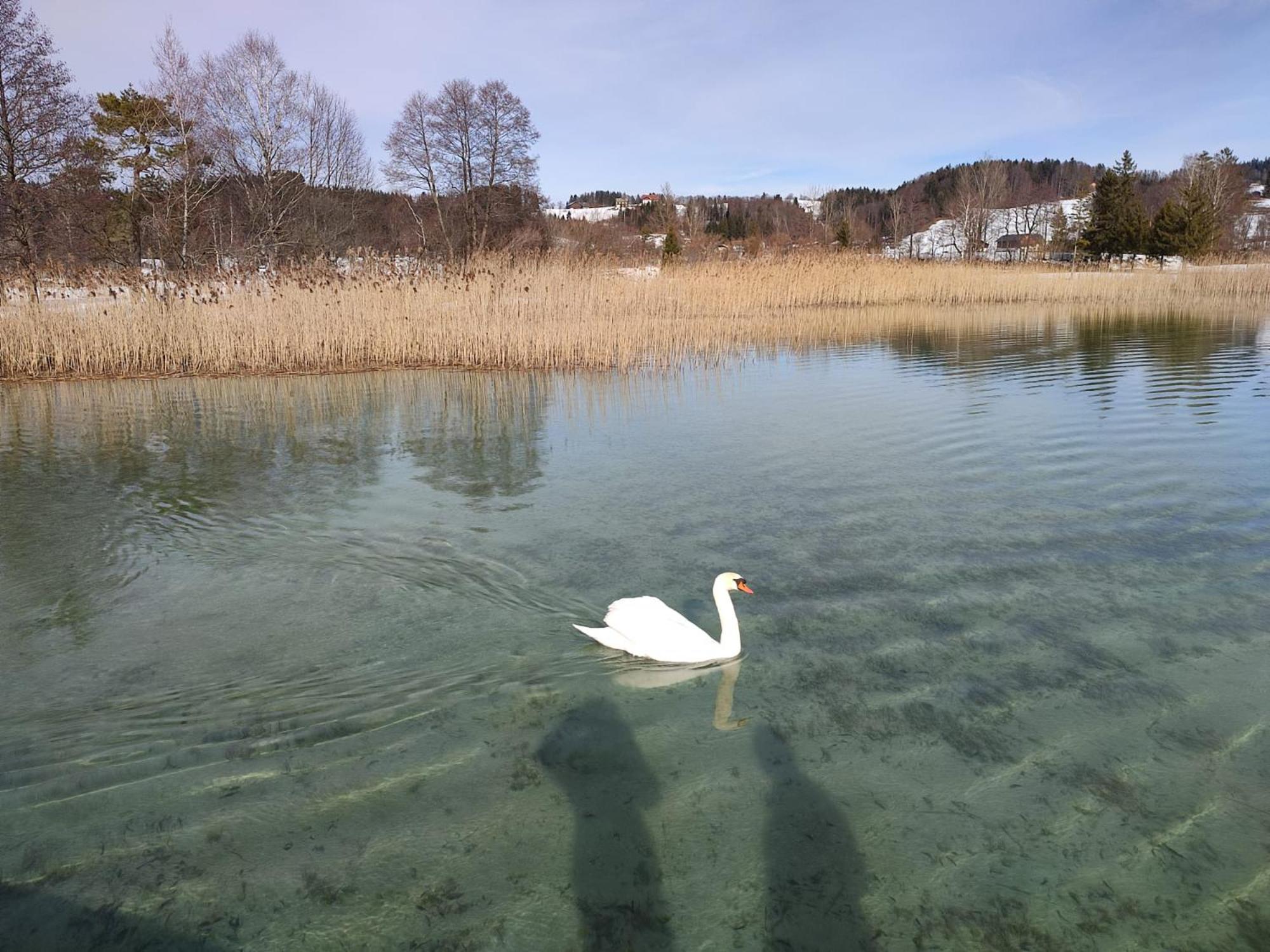 Guggenthaler Gipfelblick