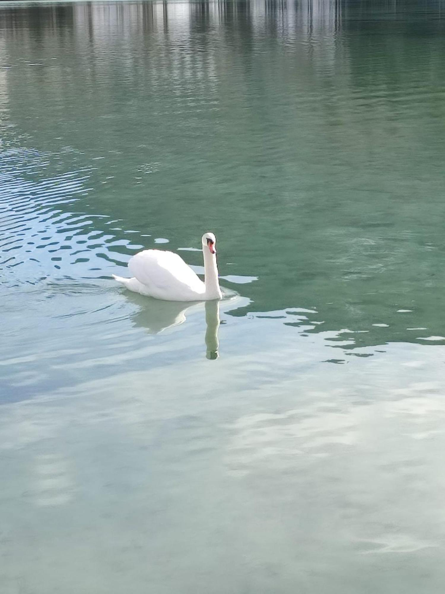 Guggenthaler Gipfelblick