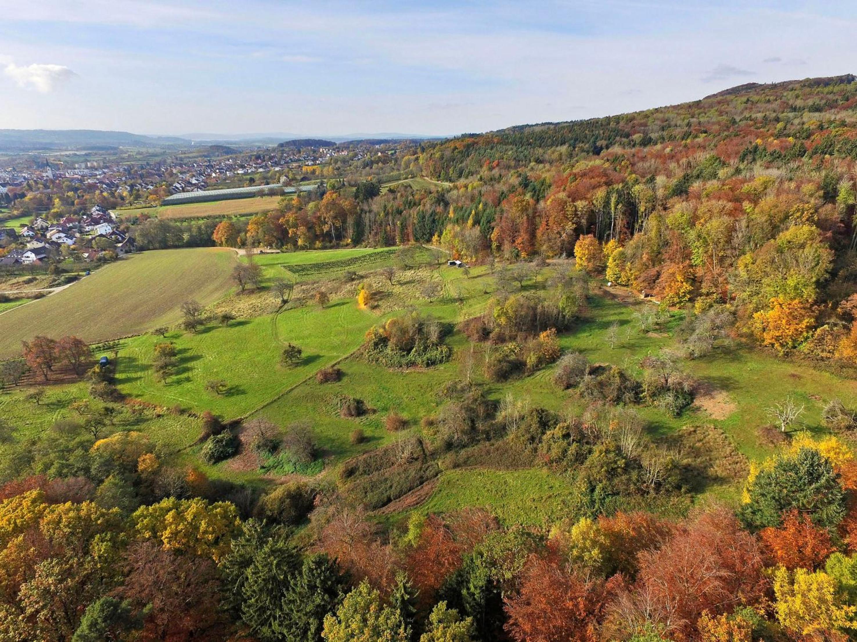 3-Raum-Ferienwohnung Auszeit, Badewanne WC, 82 qm, EG
