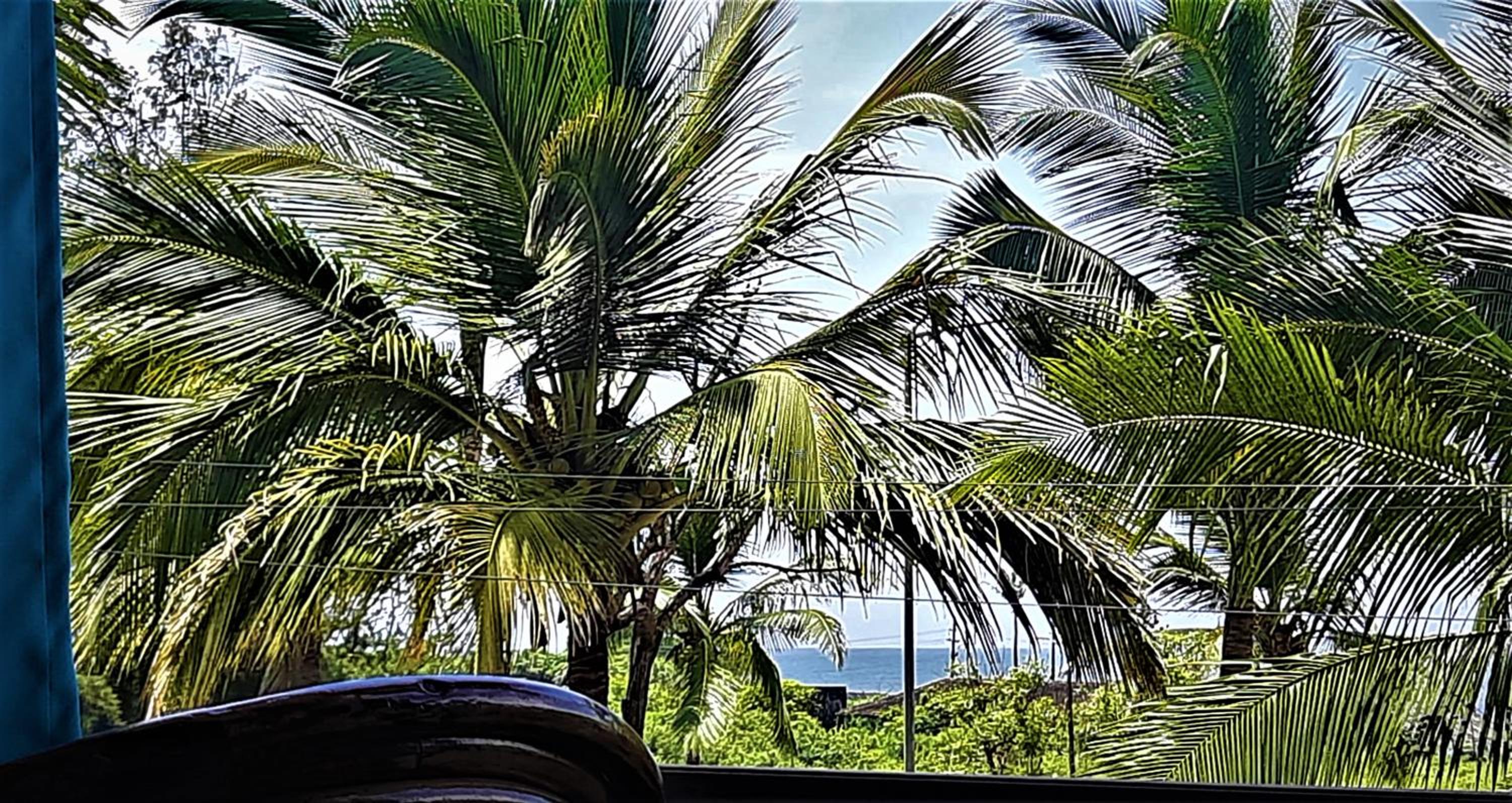 Thomson by the Beach view 4