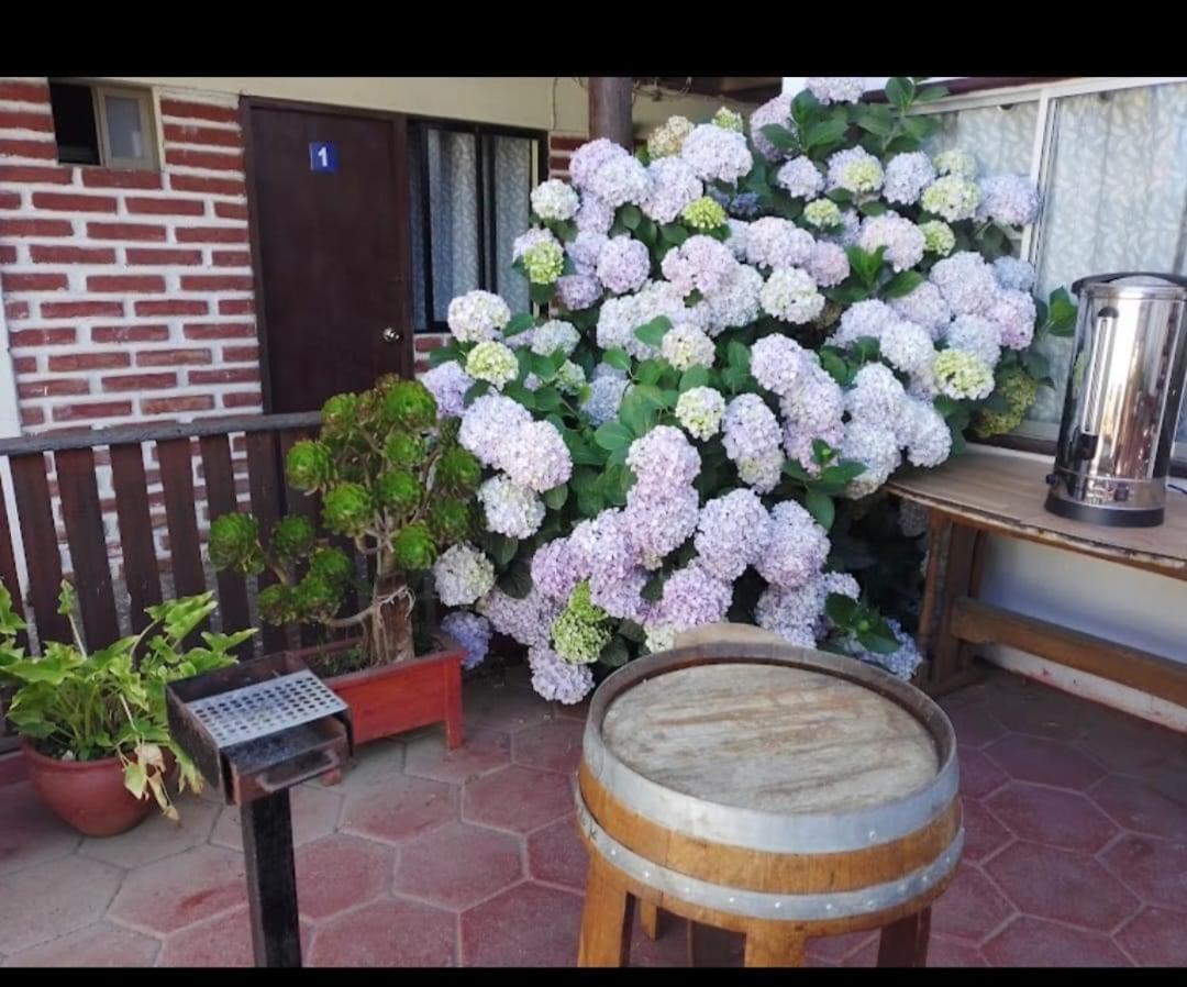 Hostal Pichilemu Traveland