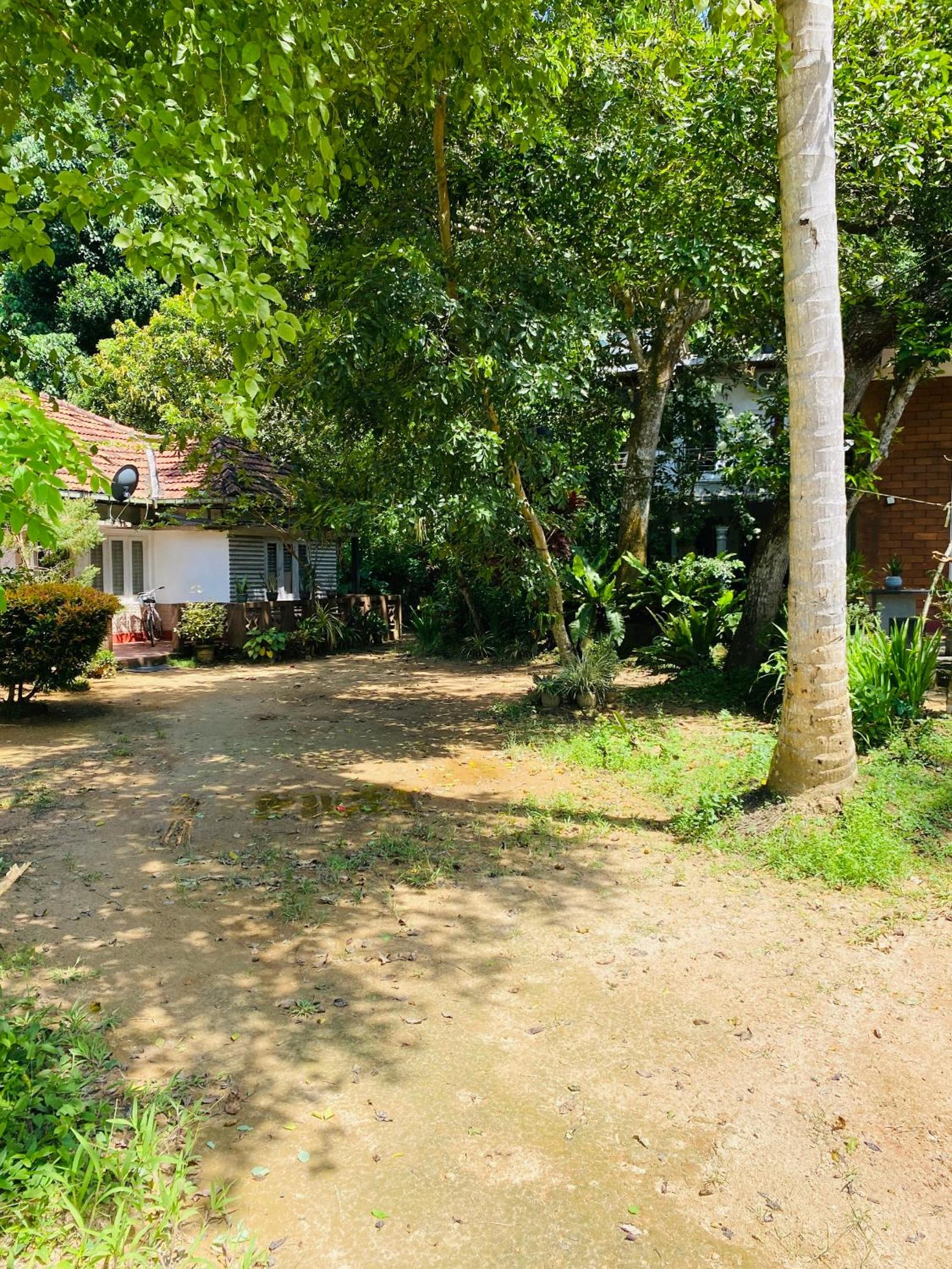 Little Mount Guest House view 4
