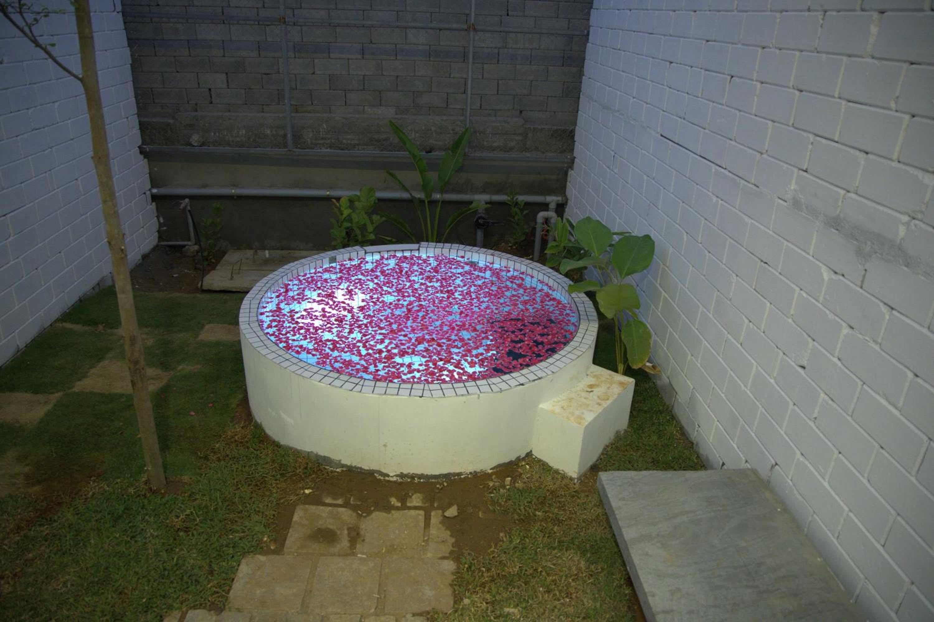 Photo 31