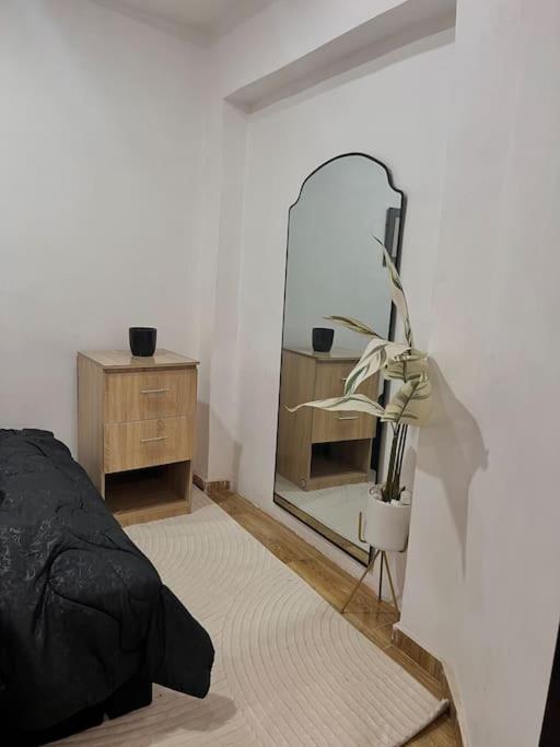 Minimalistic cozy Single room