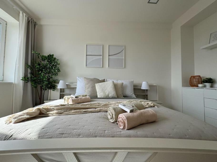 Rentero Modern APT City Hideaway