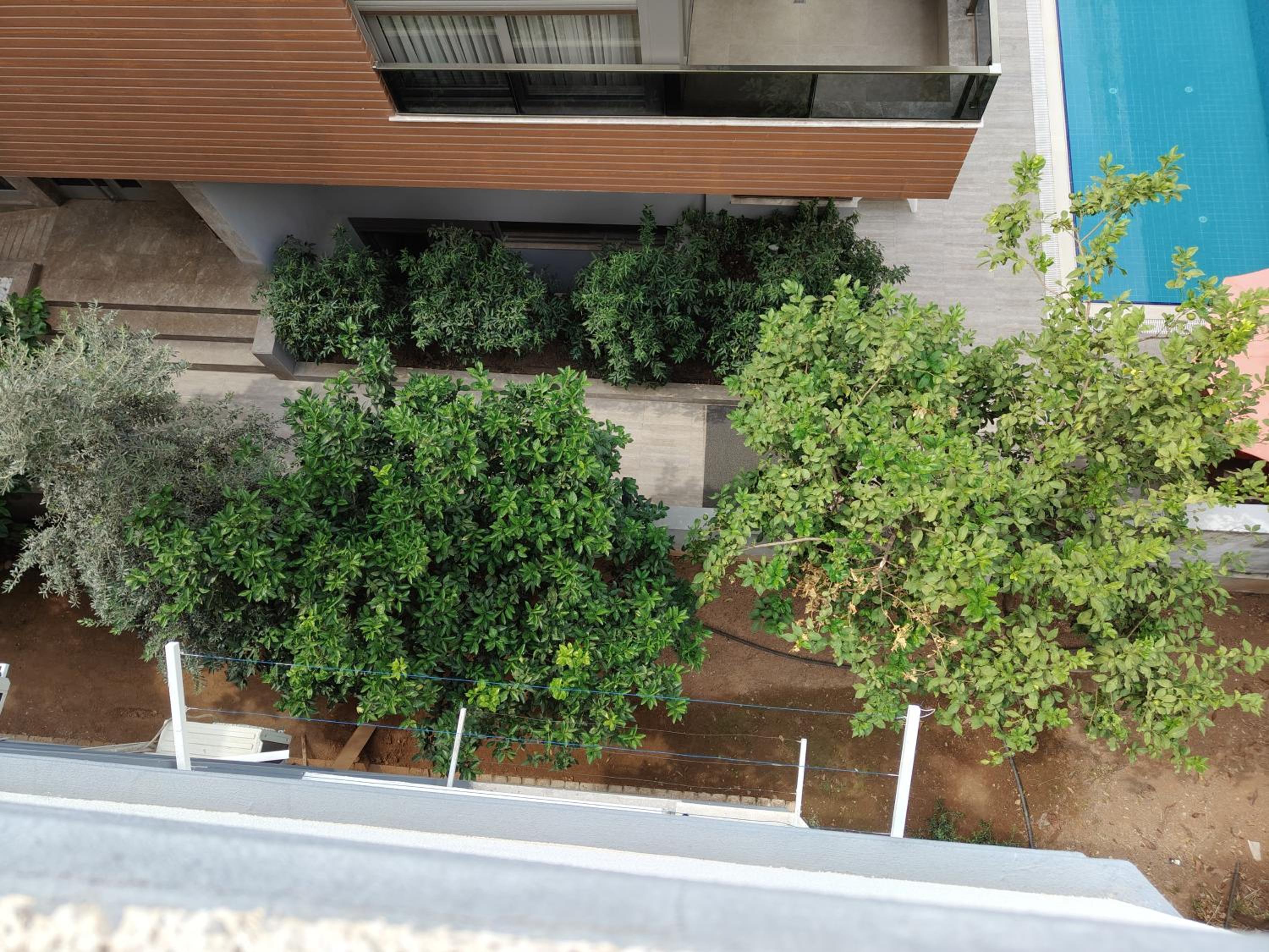 Kuk apartment