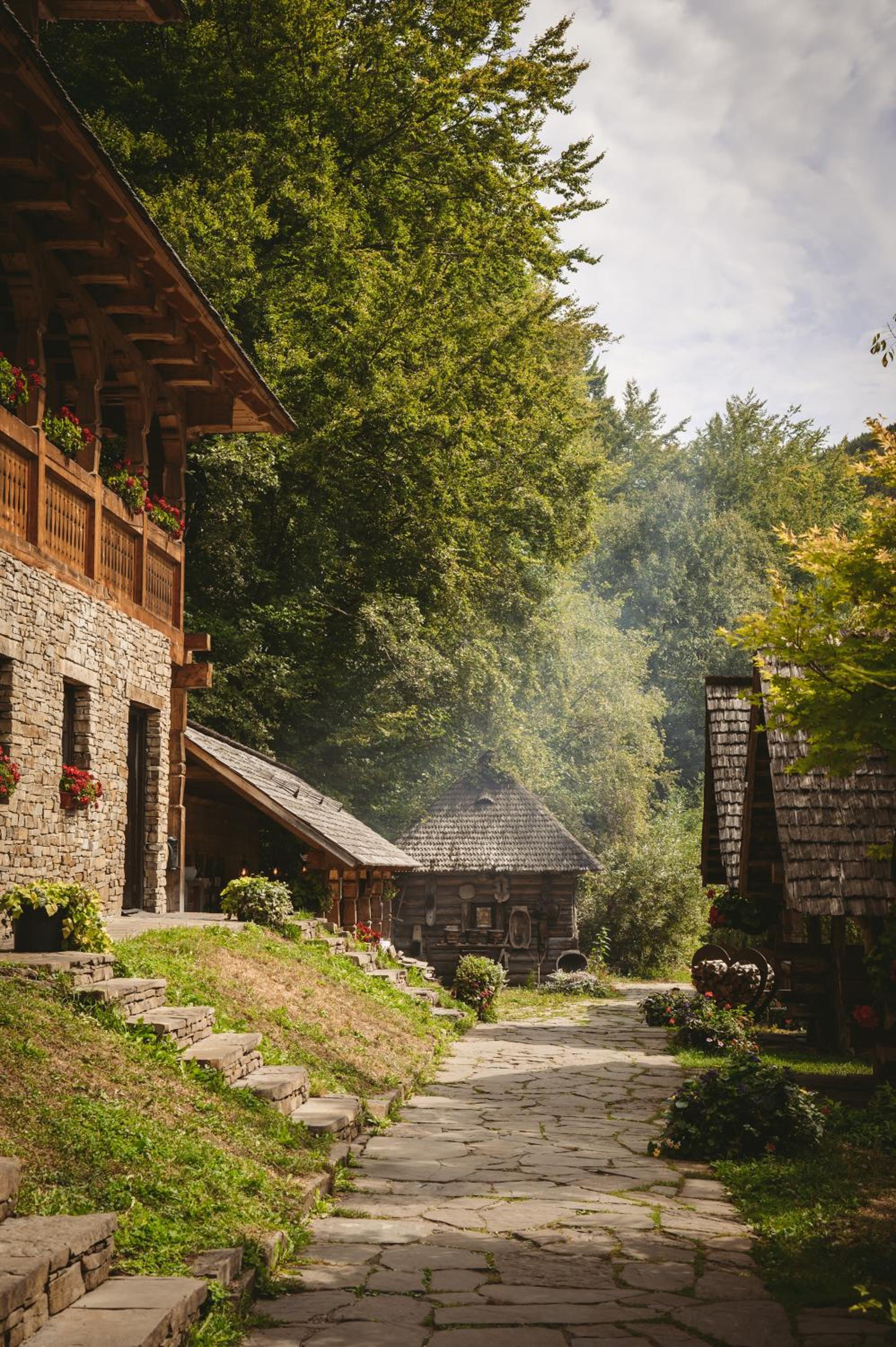 Păstrăvăria Alex view 4