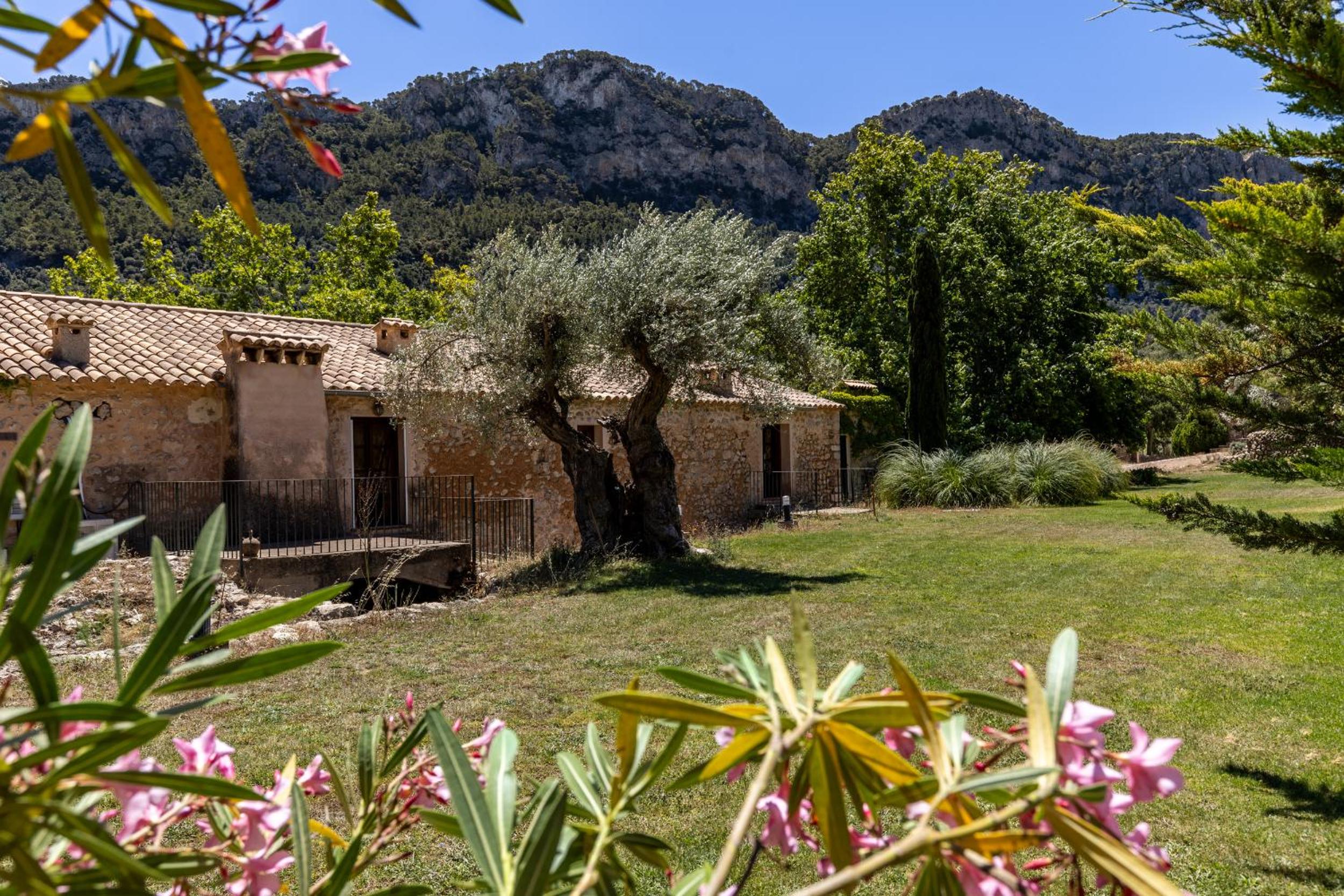 Honor - Rustic villa for 16 people view 2