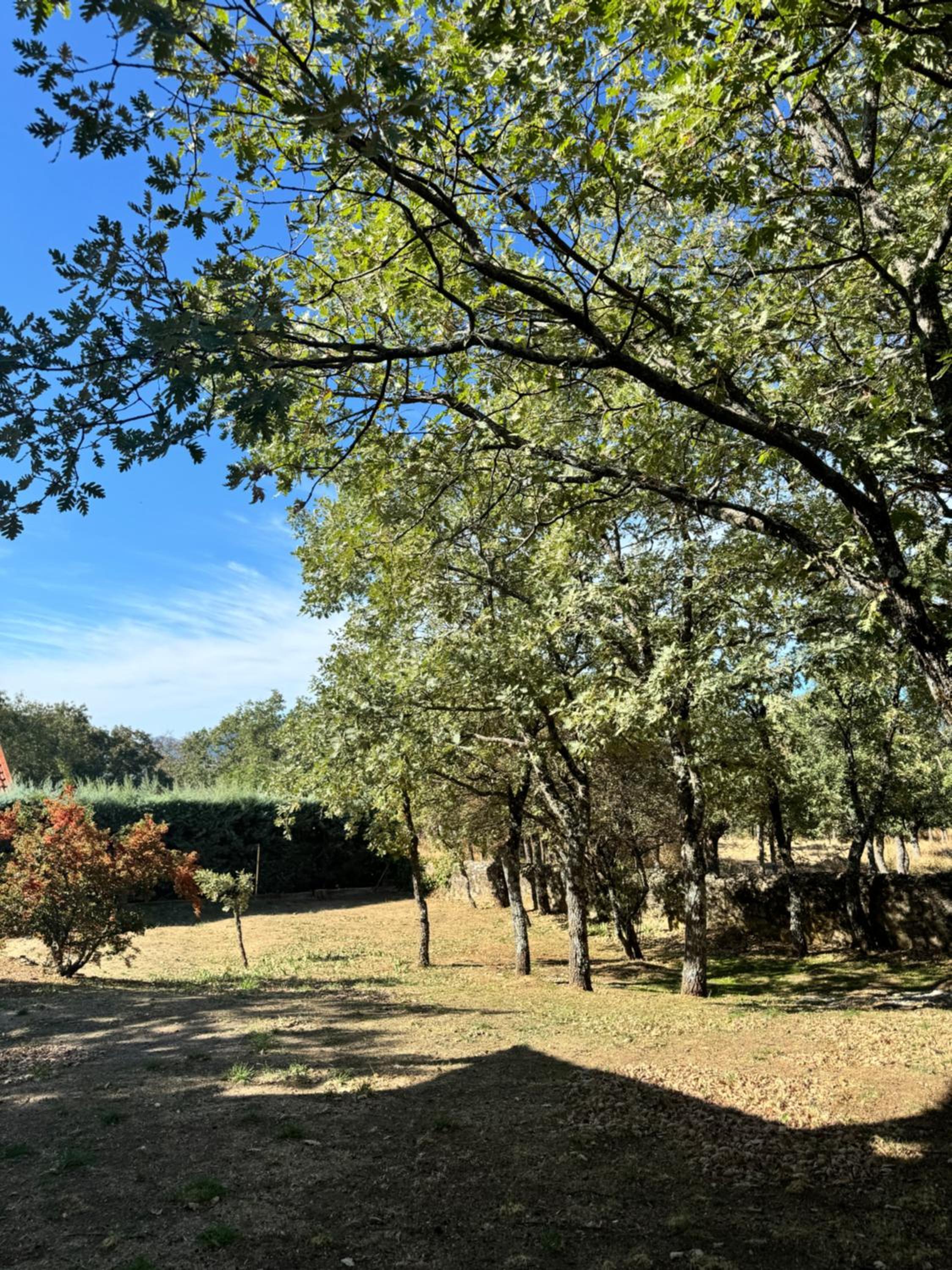 Casa Pucara