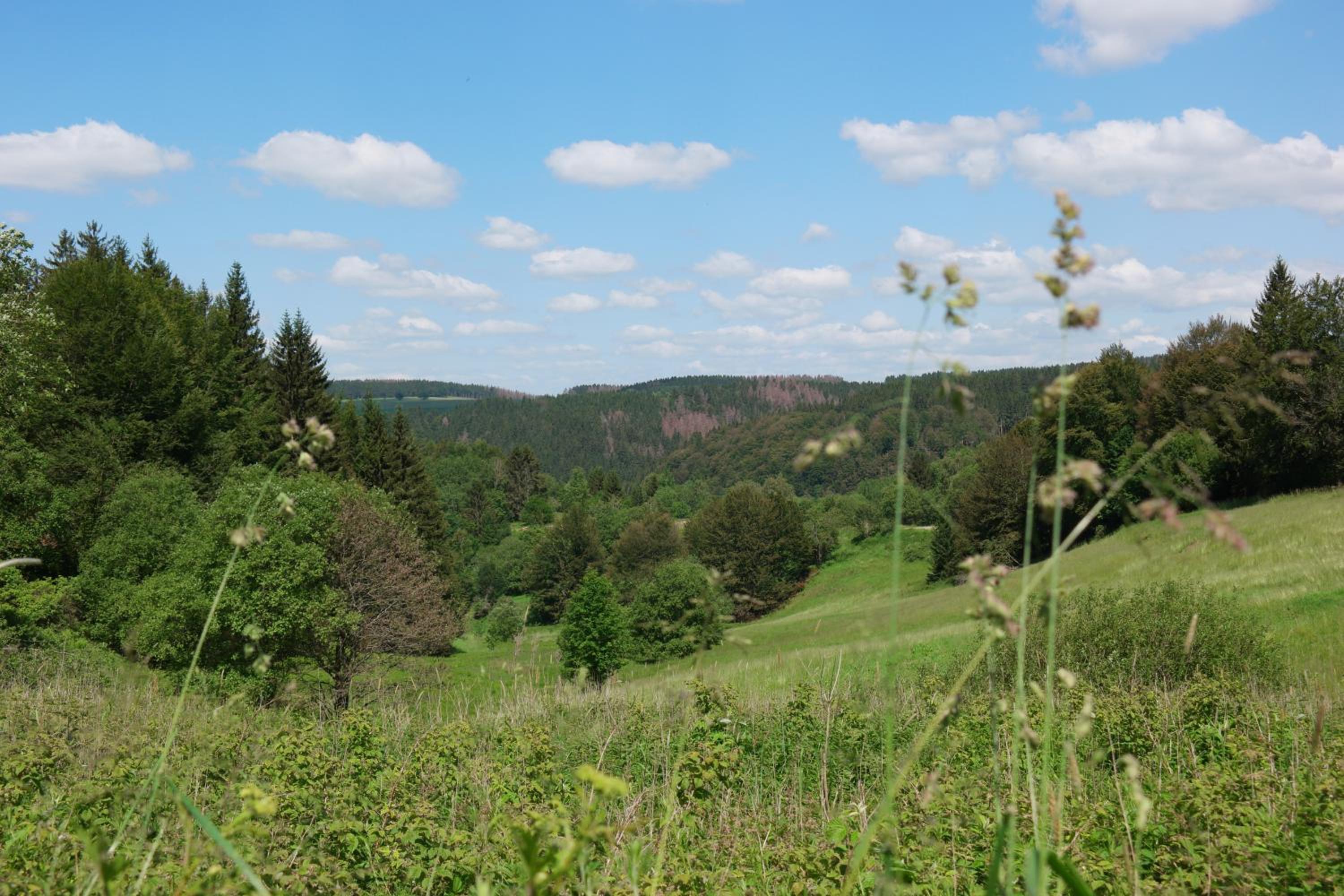 Ferienwohnung Werraquell Hütte