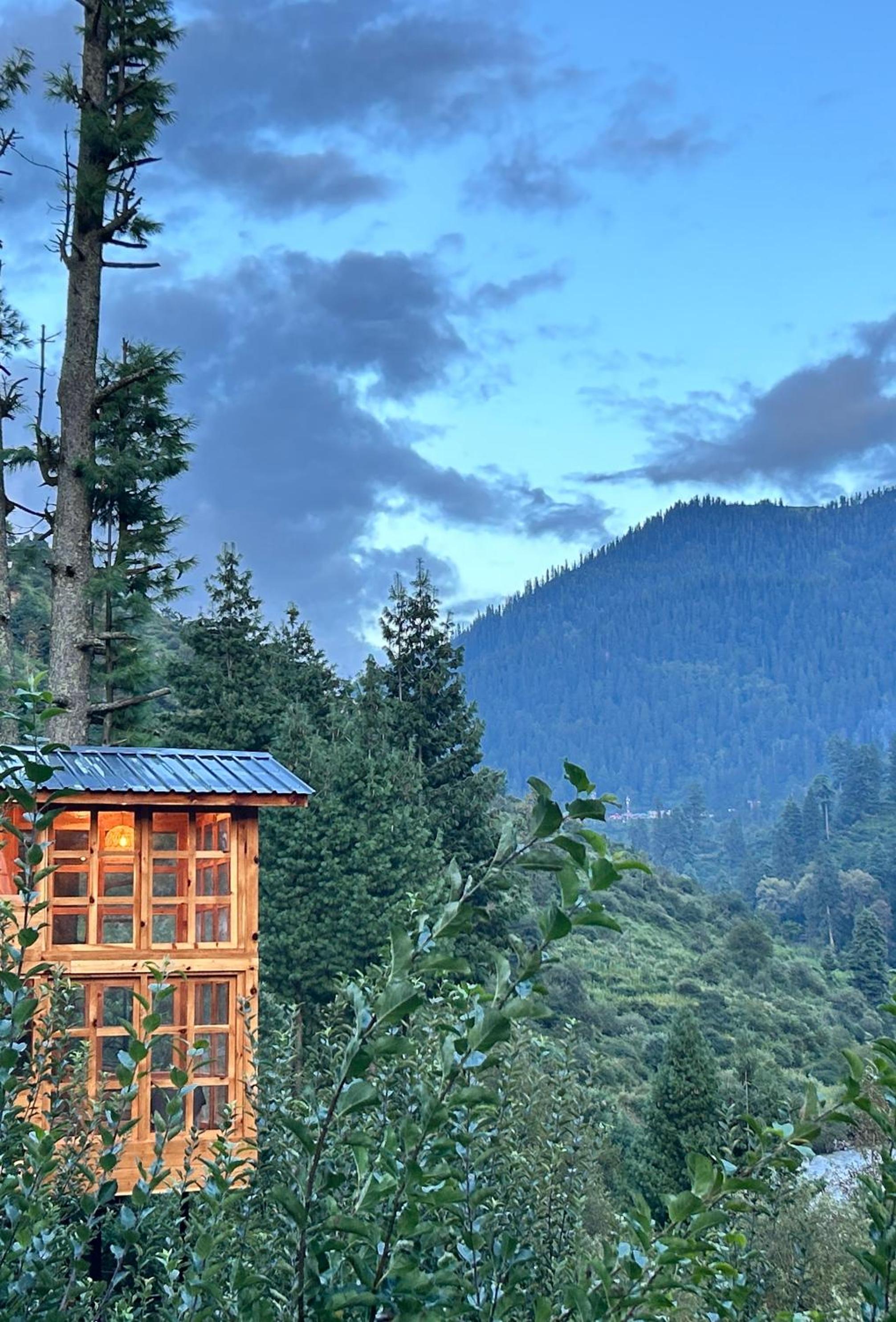 Sage Cabin Treehouse