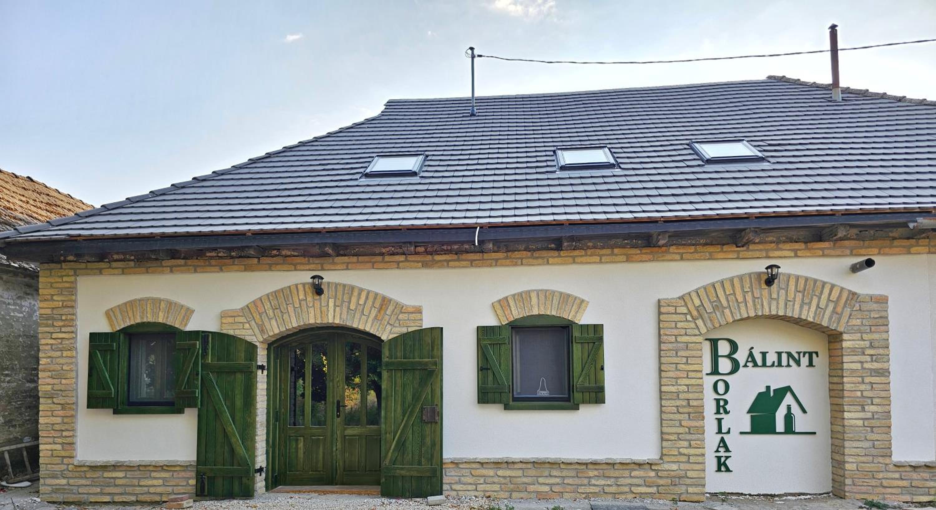 Bálint Borlak