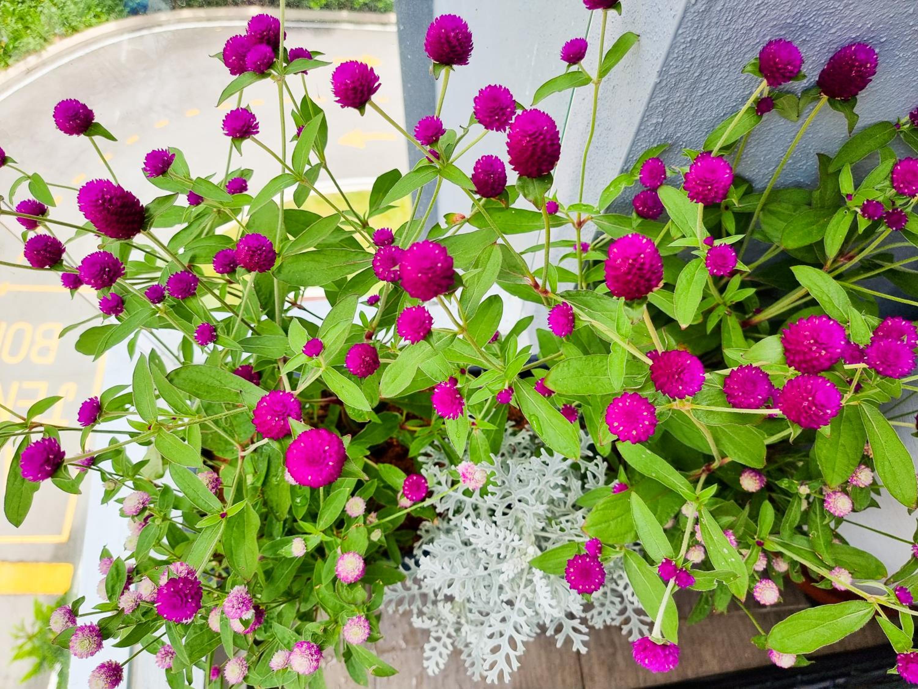 Photo 92